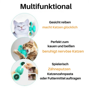 Katzenmühle-Katzenspielzeug 5-in-1! - Jetzt 50 % Rabatt!