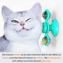 Lade das Bild in den Galerie-Viewer, Katzenmühle-Katzenspielzeug 5-in-1! - Jetzt 50 % Rabatt!
