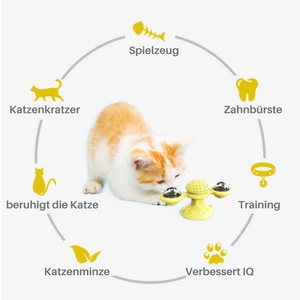 Katzenmühle-Katzenspielzeug 5-in-1! - Jetzt 50 % Rabatt!